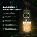 Rechargeable Tiny Mosquito Repeller 329°F Heating 30ft Protection Zone Ultra Mini with Camping Light Magnetic Design for Outdoor Camping Backpacking Patios
