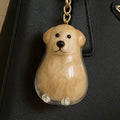 🐾Pet Hair Memorial Capsule Keychain