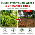 Outdoor Weed Control Powder for Patios, Driveways & Garden Paths