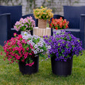 🌱High-Grade Material Artificial Flowers
