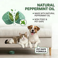 12- Pack Popular Natural Rodent Repellent Balls