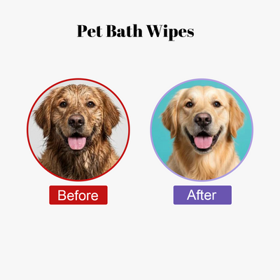 Pets Accessories