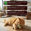🐱Natural Catnip & Silvervine Chews – Healthy Chew Treats for Cats