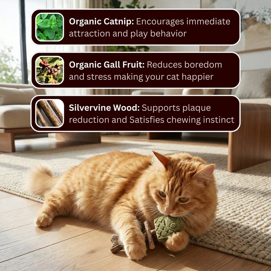 🐱Natural Catnip & Silvervine Chews – Healthy Chew Treats for Cats