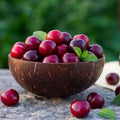 ✨✨ ✨✨ Sweet Cherry Seeds , High Germination Rate, Large-Fruited Variety, Perfect for Gardens & Containers