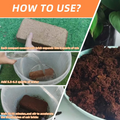 🌱 Premium Organic Coconut Coir Bricks For Plants