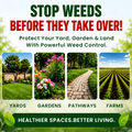 Outdoor Weed Control Powder for Patios, Driveways & Garden Paths