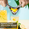 Citrus Squeezer | Stainless Steel or PP🍋