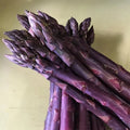 🌿Perennial Asparagus Seeds – Tender Green Garden Vegetable Seeds for Home Planting