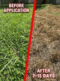 🔥🔥Herbicide and root rot control agent