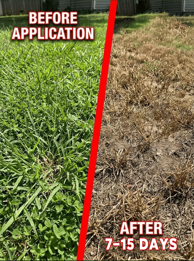🔥🔥Herbicide and root rot control agent
