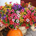 🌱High-Grade Material Artificial Flowers