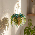 🥳DIY Suncatcher Craft Kit – Fun, Colorful Sunlight Decorations for Kids & Adults✨