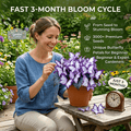 ✨Easy-to-Grow Seeds — Butterfly Blooms for a Living Garden