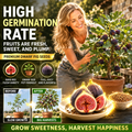 🌳🌳 High-Yield Dwarf Fig Tree – Fast-Growing, Sweet & Crisp Fruit, Perfect for Pots, Balconies & Farms
