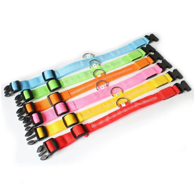 Glow-In-The-Dark Dog Collar