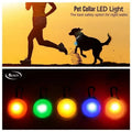 Bright Night Pet Necklace