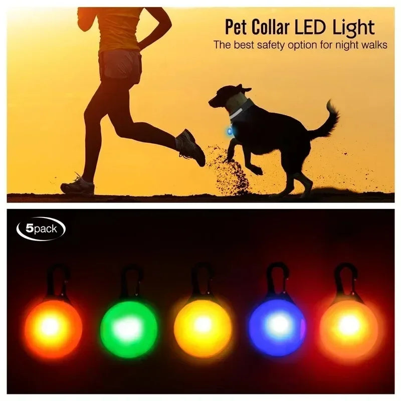Bright Night Pet Necklace