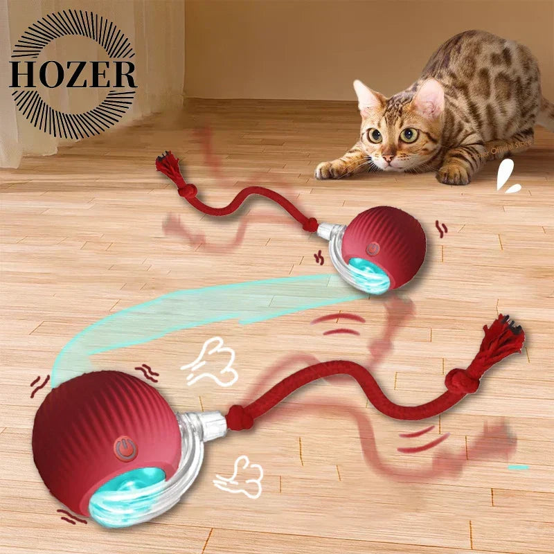 Playful Paws Cat Ball Duo