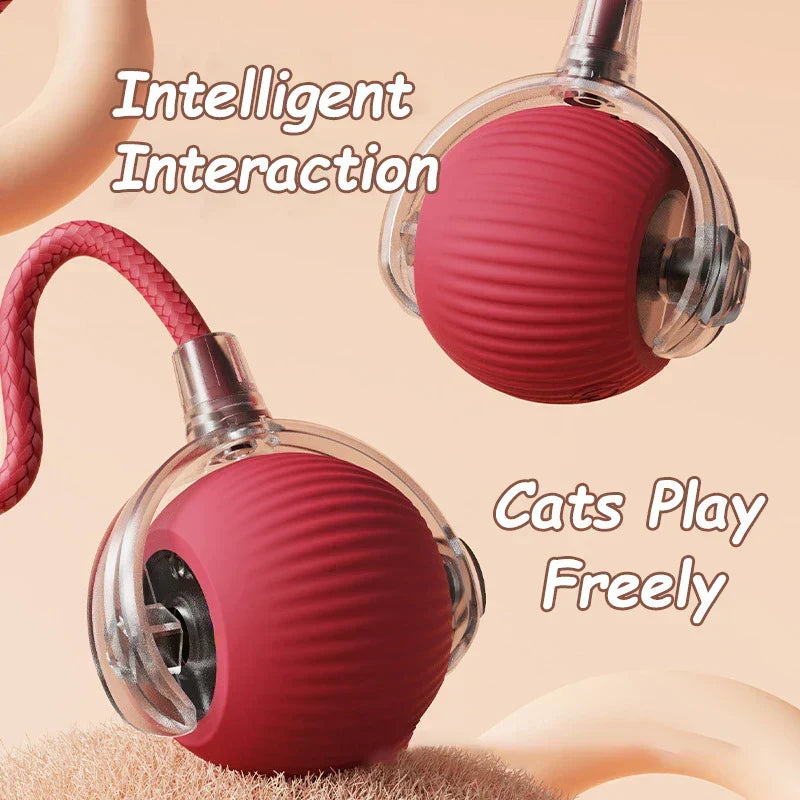 Playful Paws Cat Ball Duo