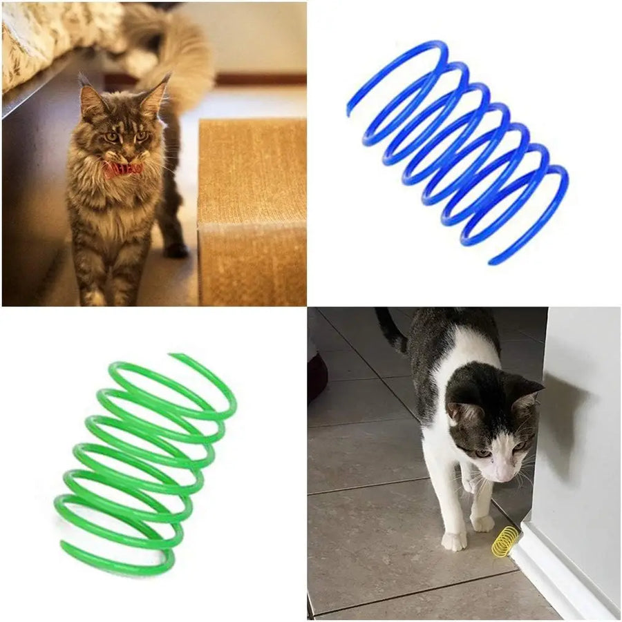 Colorful Cat Play Springs