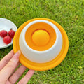 Pet Licking Fun Bowl