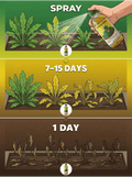 🔥🔥Herbicide and root rot control agent