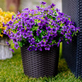 🌱High-Grade Material Artificial Flowers