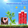 🌞Home Gardening Universal Slow-Release Tablet Organic Fertilizer