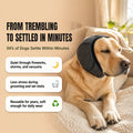 Noise-Reducing Dog Ear Wrap – Soft Comfort Hood for Fireworks, Storms & Loud Events🐶