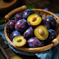 🌱Sweet Plum Growing Kit