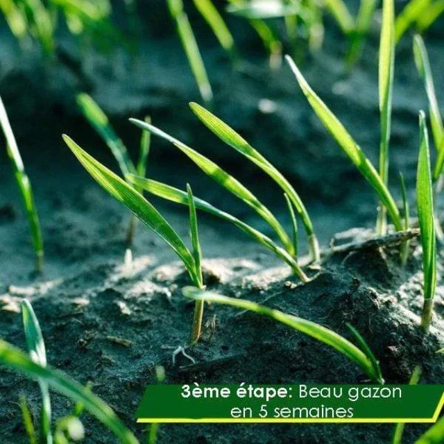 Rouleau de gazon biodégradable