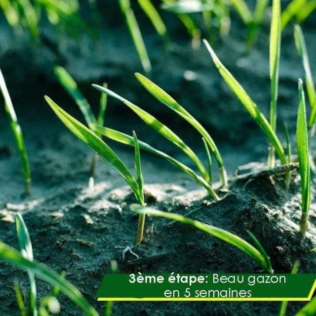 Rouleau de gazon biodégradable - Domiloa